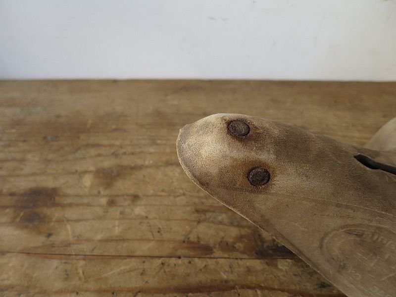 画像3: 枯れたサドル