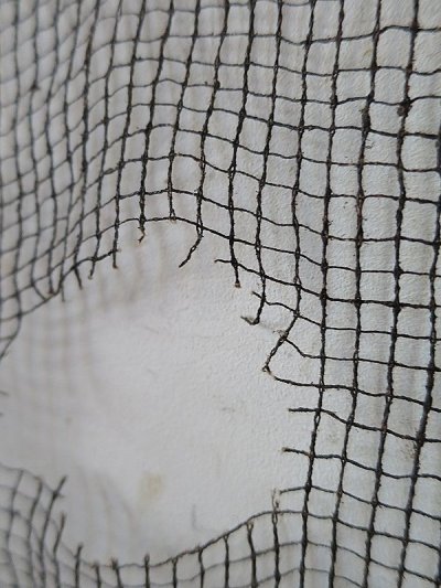 画像3: 養蚕網