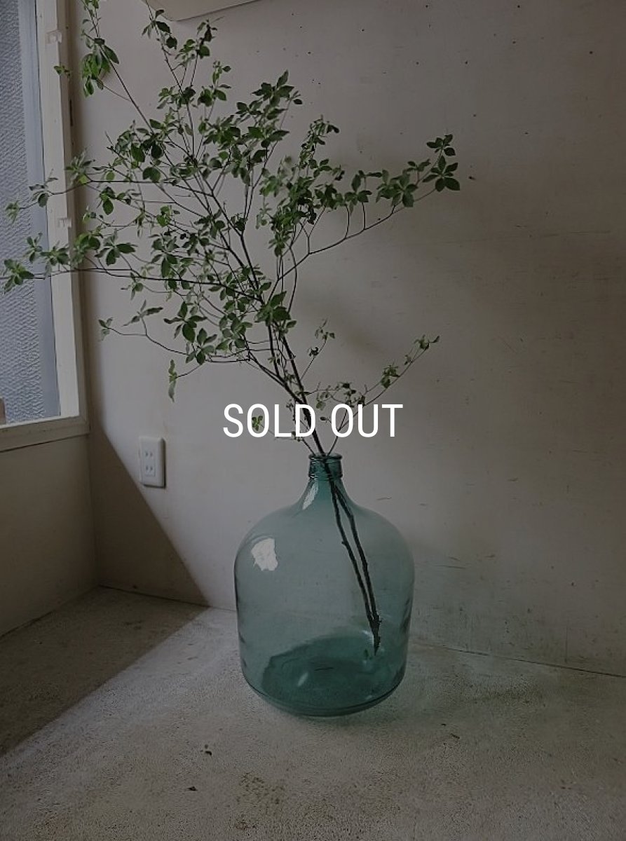 画像2: デミジョンボトル (2)