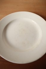 画像5: サルグミンヌ平皿（A） (5)