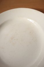 画像6: サルグミンヌ平皿（A） (6)