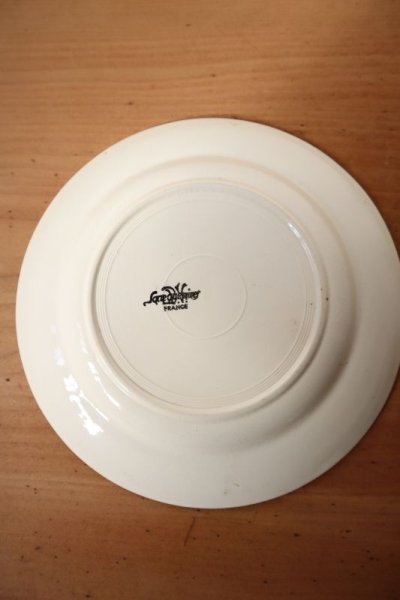 画像1: サルグミンヌ平皿（A）