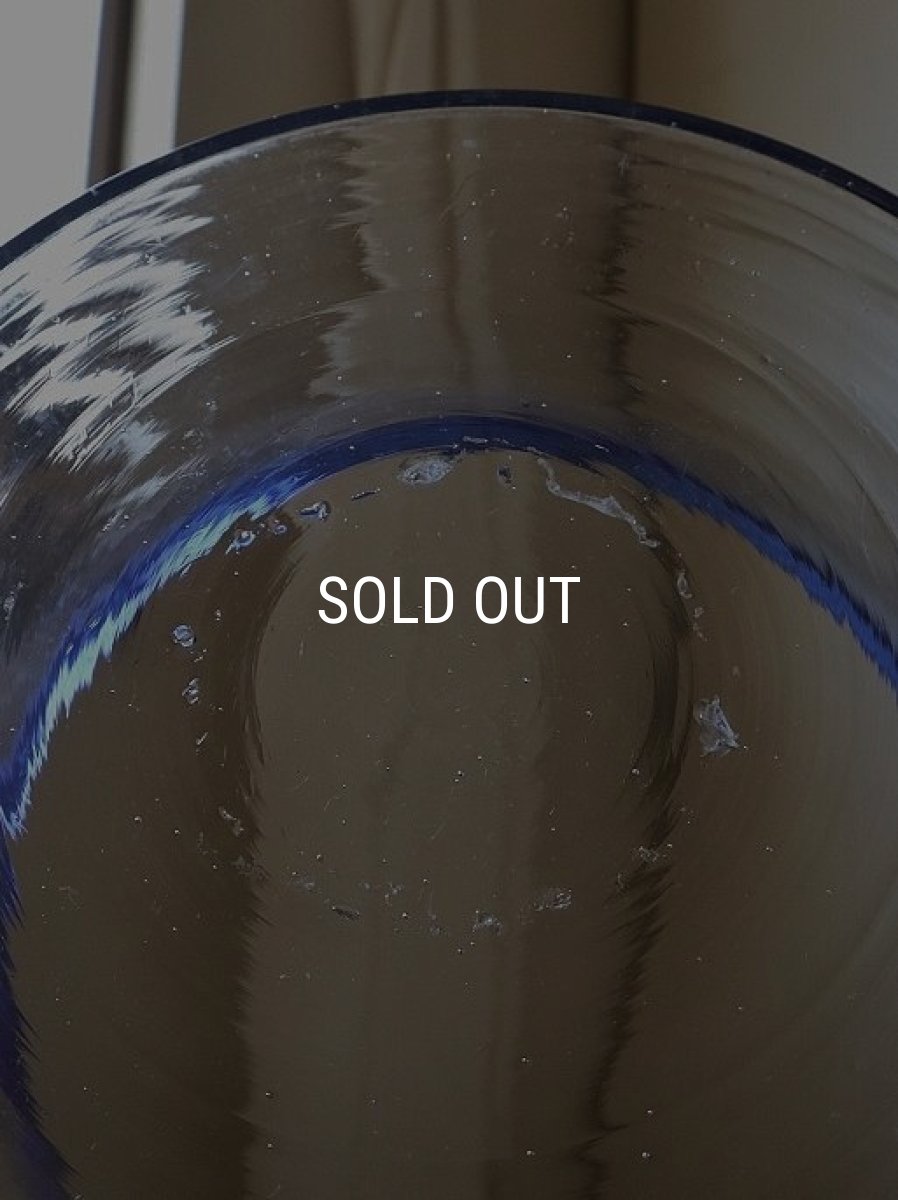 画像14: 縁の青い水槽 (14)