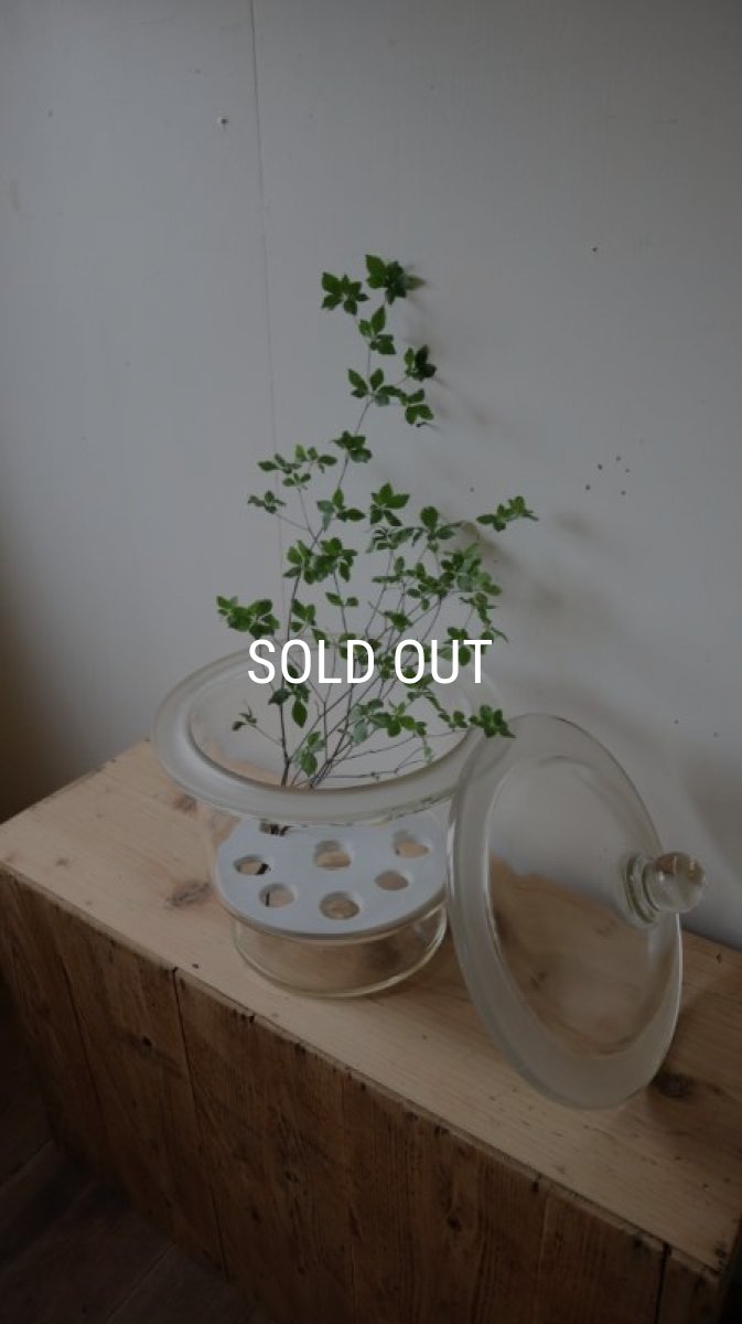 画像2: デシケーター (2)