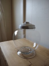 画像4: 地球瓶(1) (4)