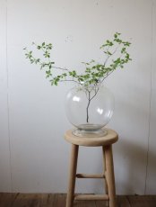 画像2: 地球瓶(1) (2)