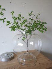 画像6: 地球瓶(2) (6)