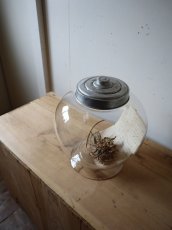 画像3: 地球瓶(2) (3)