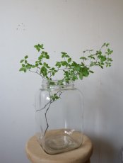 画像4: ブリキの蓋つきガラス容器 (4)
