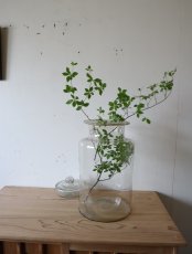 画像5: ガラスの保存容器 (5)