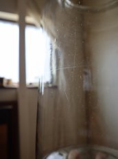 画像22: ガラスの保存容器 (22)