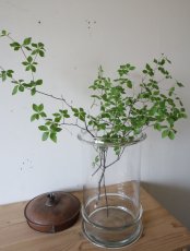 画像7: 銅製蓋つきガラス容器 (7)