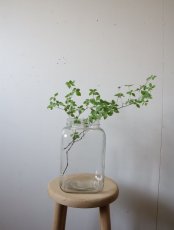 画像3: ブリキの蓋つきガラス容器 (3)