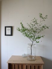 画像4: ガラスの保存容器 (4)