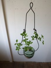 画像3: 吊り下げ花器(B) (3)