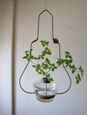 画像1: 吊り下げ花器(A) (1)