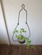 画像3: 吊り下げ花器(C) (3)
