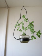 画像4: 吊り下げ花器(C) (4)