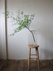 画像5: 木肌のスツール (5)