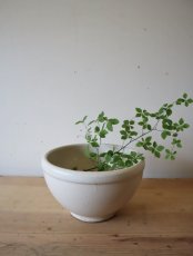 画像1: 平清水焼こね鉢 (1)