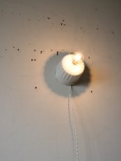 画像16: No.11　菊型ローゼット(大)の2wayライト (16)