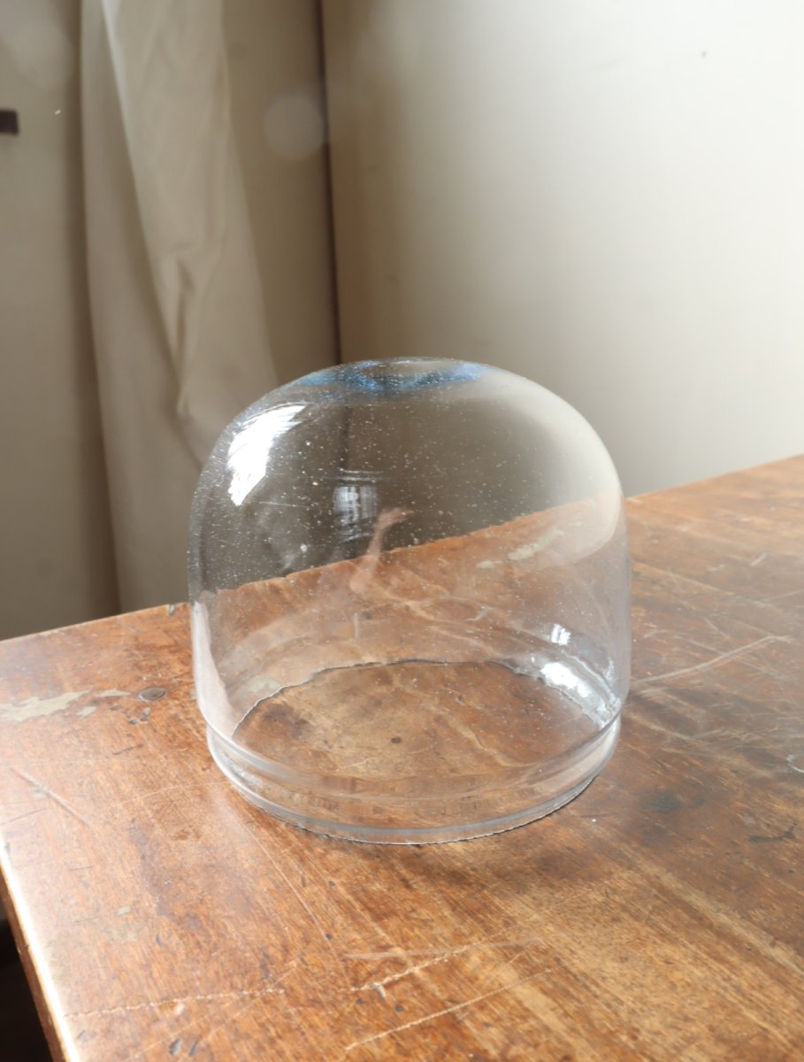 画像22: No.163　捕虫器ガラスのペンダントライト(B) (22)