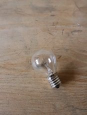 画像19: No.183　ホヤガラスの卓上ランプ(真鍮) (19)