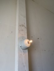 画像47: No.218　菊型ローゼットの2wayライト (47)